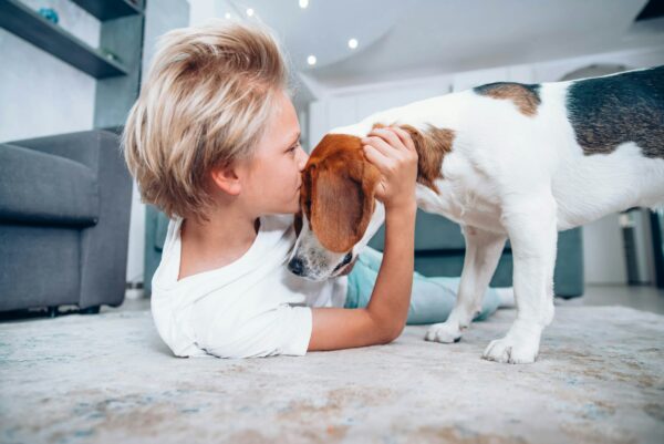 Electrical Safety for Pet Owners: Protecting Your Furry Friends from Hidden Dangers