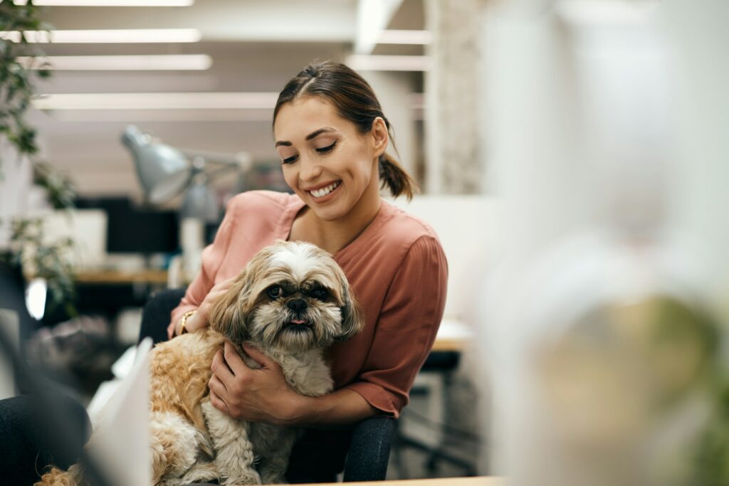 Electrical Safety for Pet Owners: Protecting Your Furry Friends from Hidden Dangers Down To The Wire